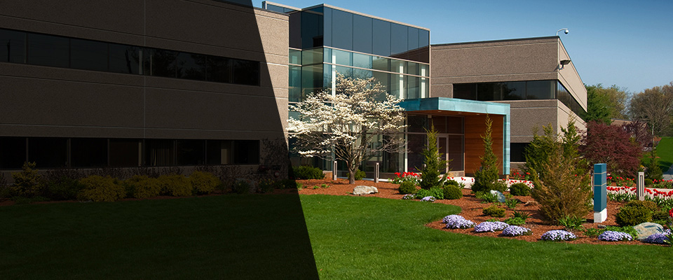 Warwick Landscapers