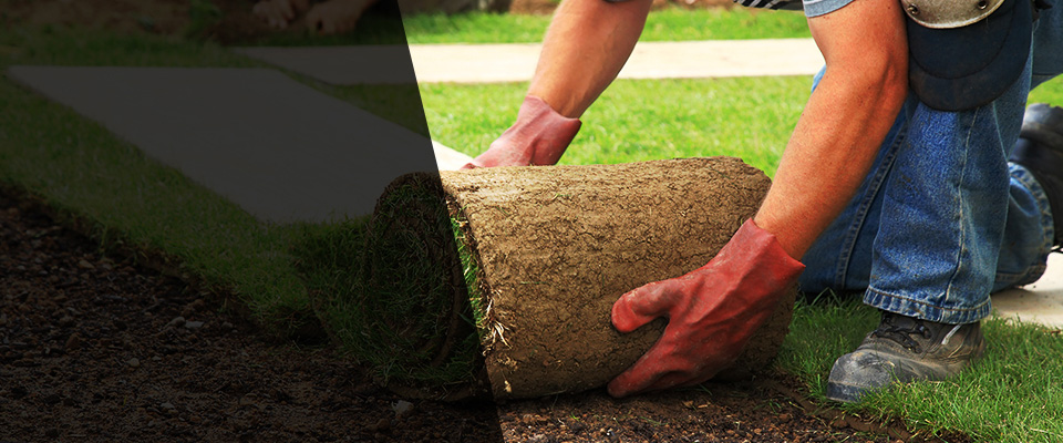 Warwick Landscapers